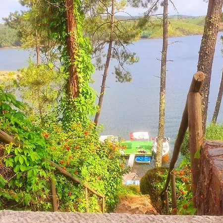 Wake - Tomar